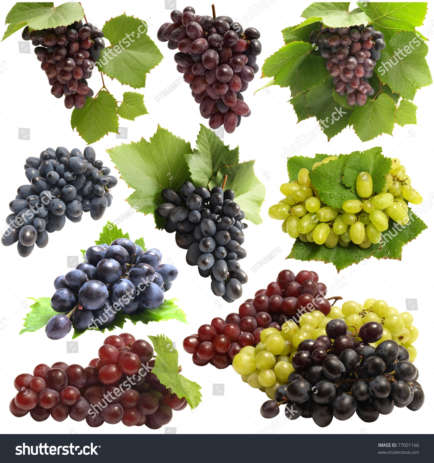 Grape Fruits Stock Photo 77001166 Shutterstock