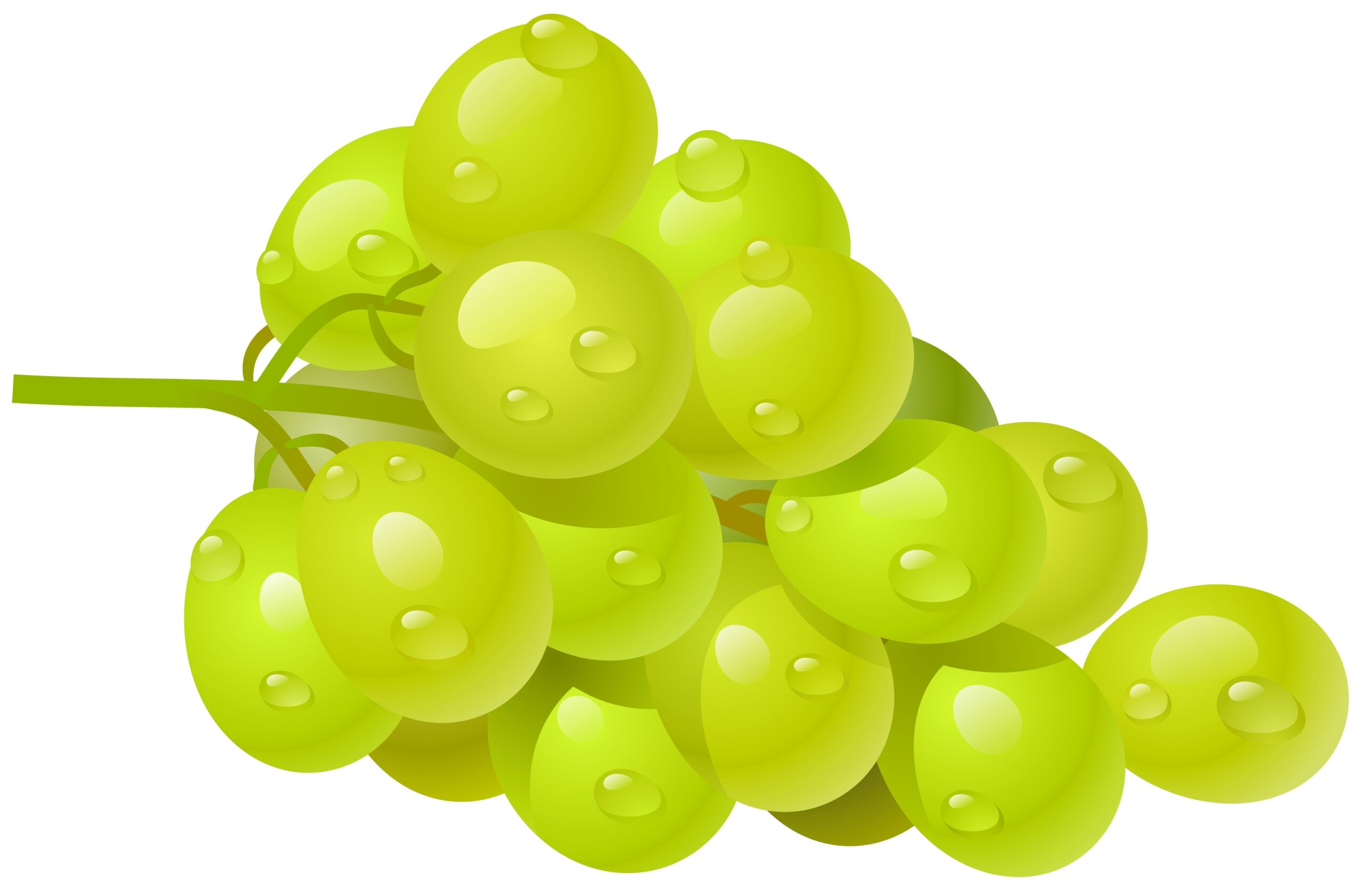 Grapes Fruit Clipart Clipground