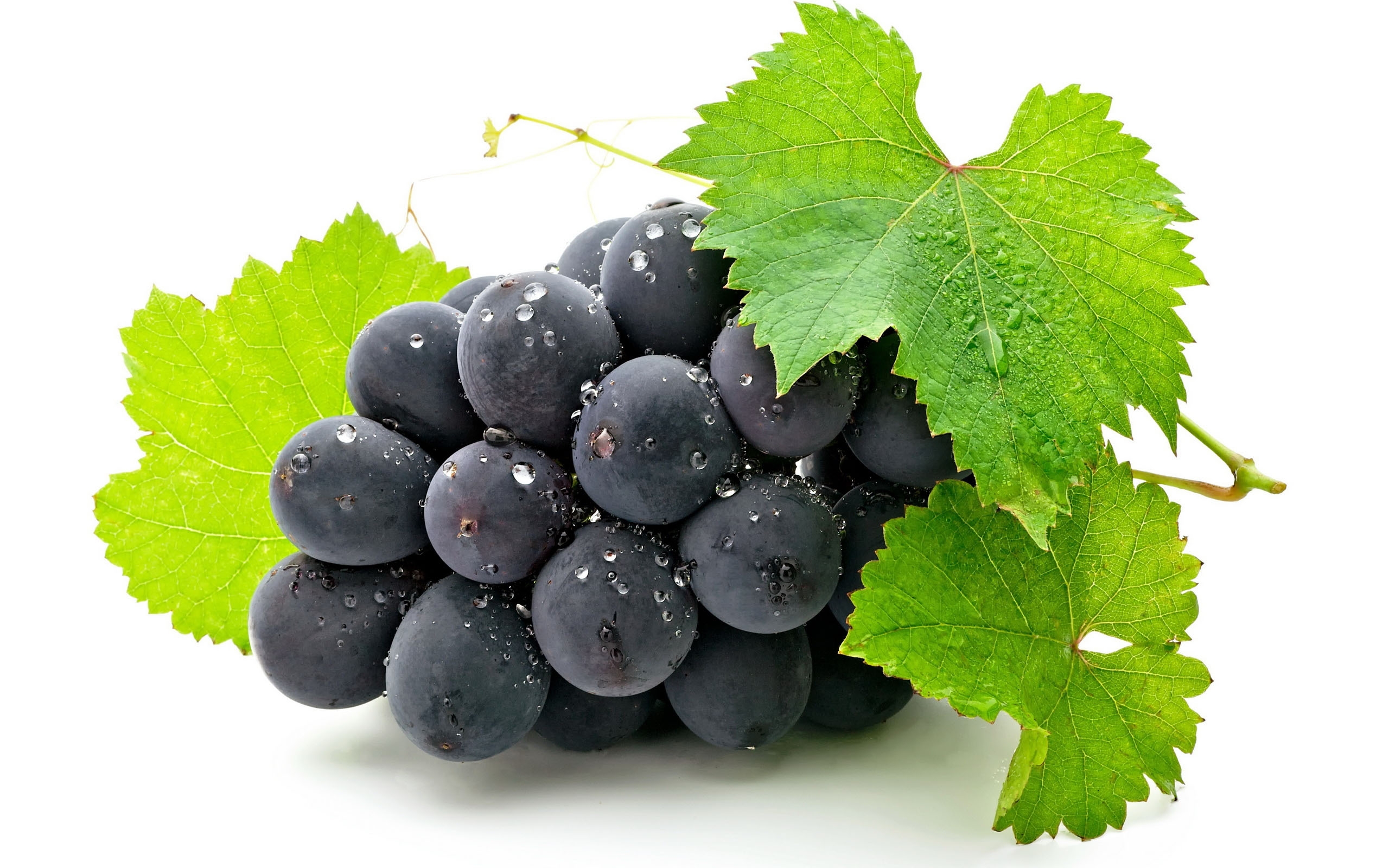 fruit grapes picture
