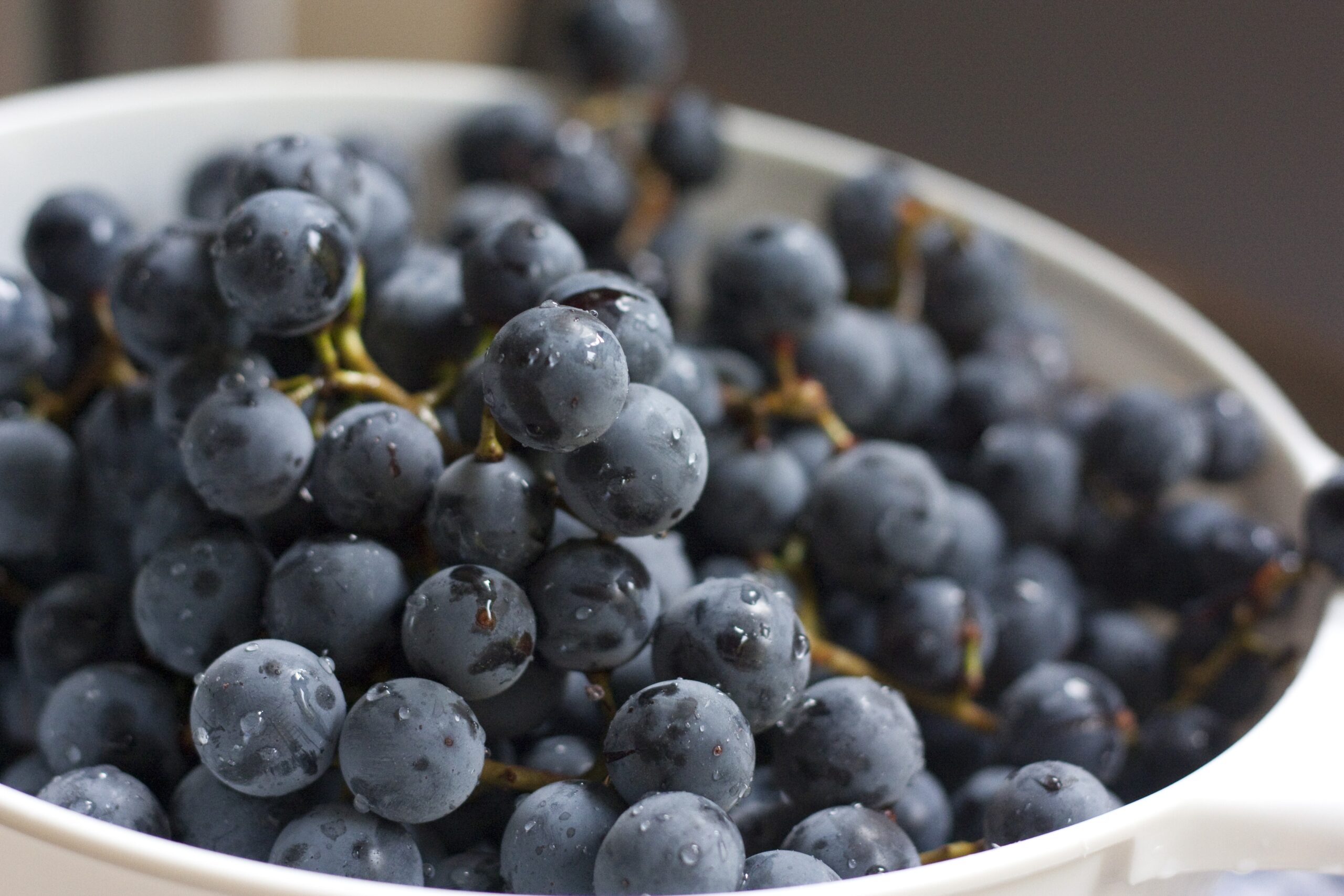 Grapes Fruit Photo 34914712 Fanpop