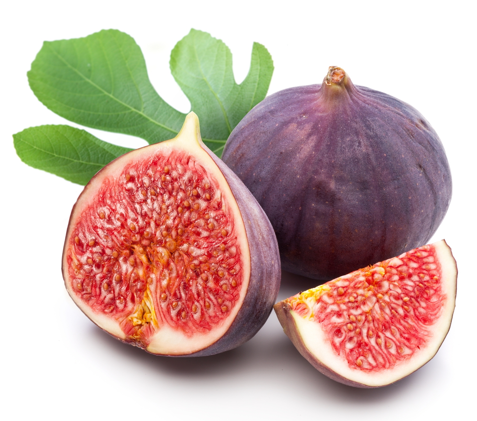 Growing Figs Allotment Gardens