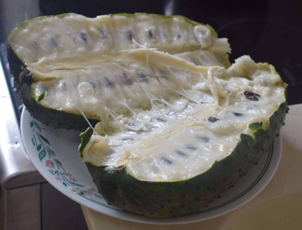 Guanabana Fruit Health Travel Junkie
