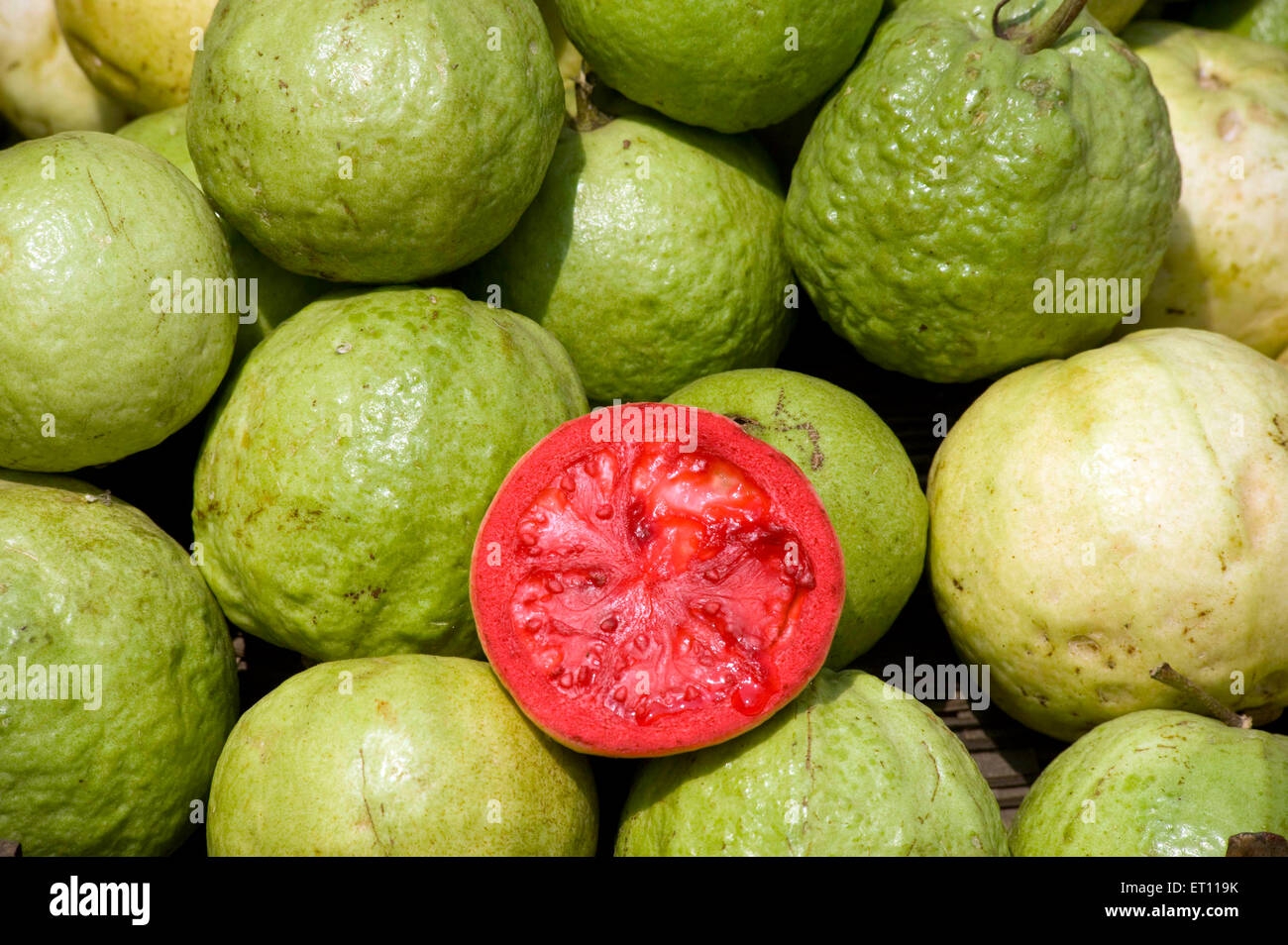picture of guava fruit