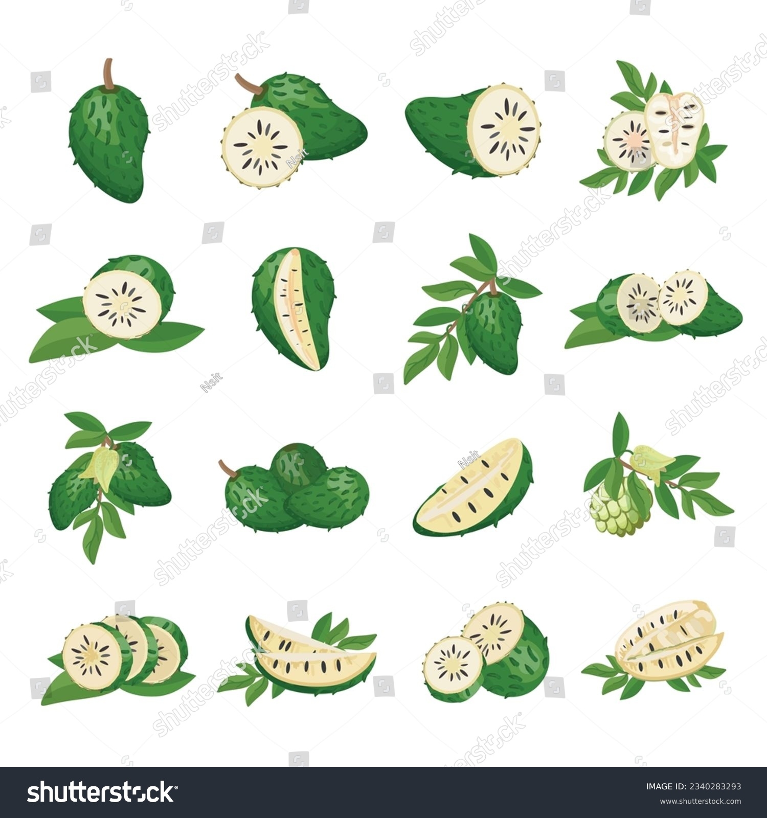 guyabano fruit picture