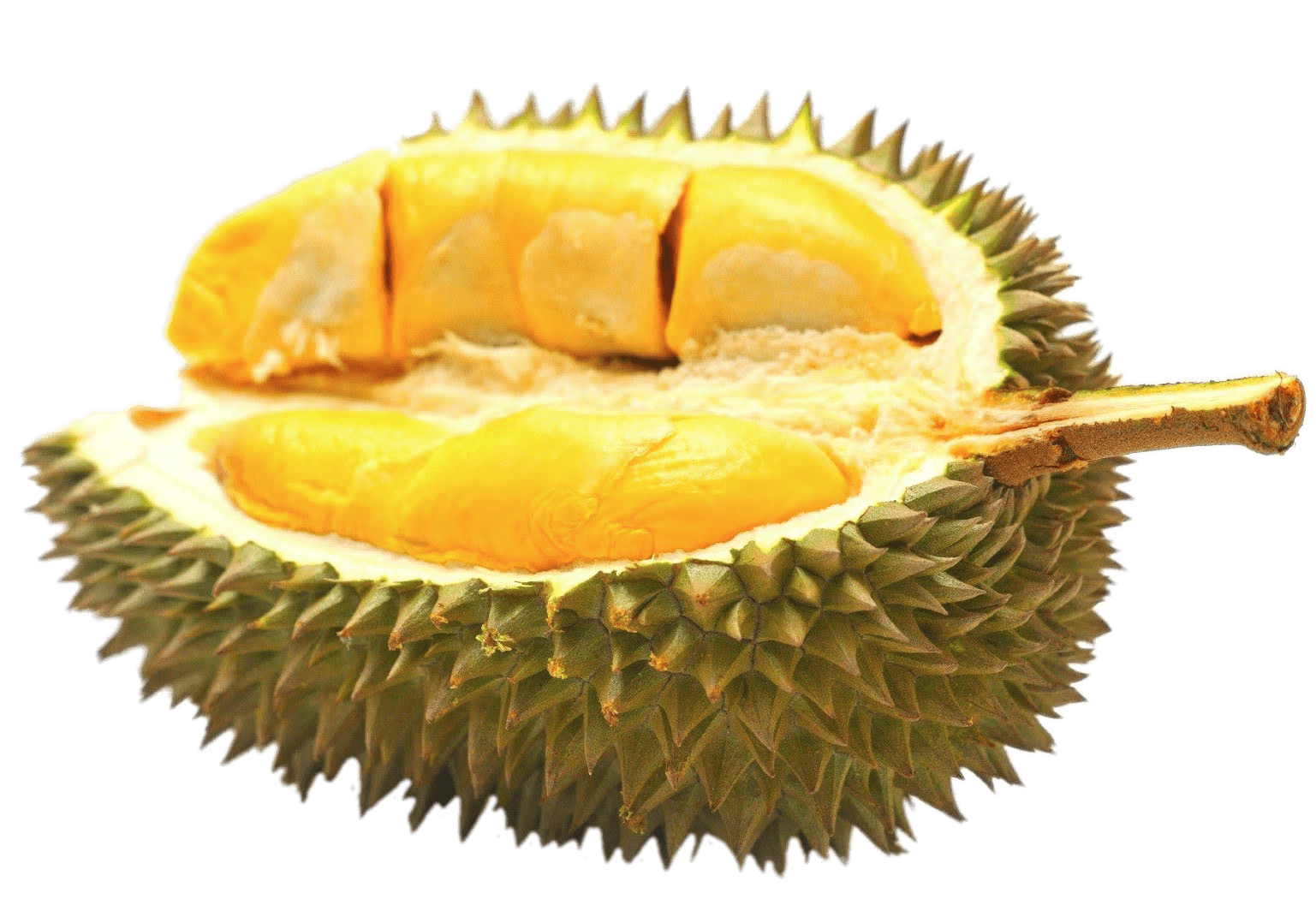Half Durian Fruit Transparent PNG StickPNG