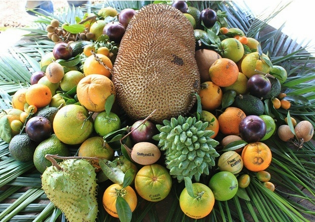 Hawaiian Fruits Images Mon Blog Jardinage
