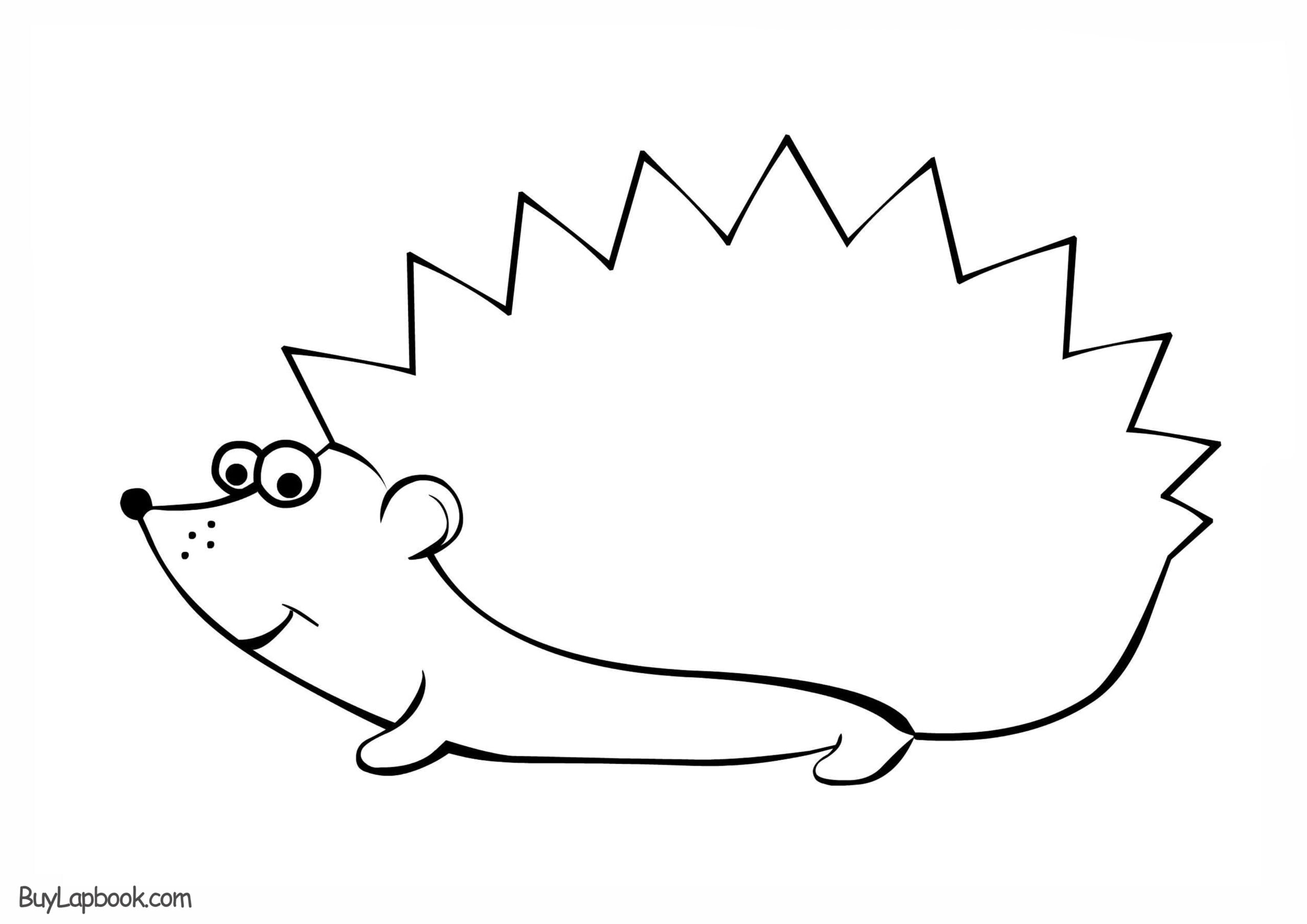 Hedgehog Template Printable Free Printable
