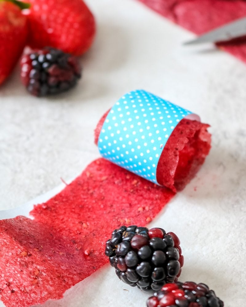 Homemade Fruit Roll Ups No Dehydrator Needed