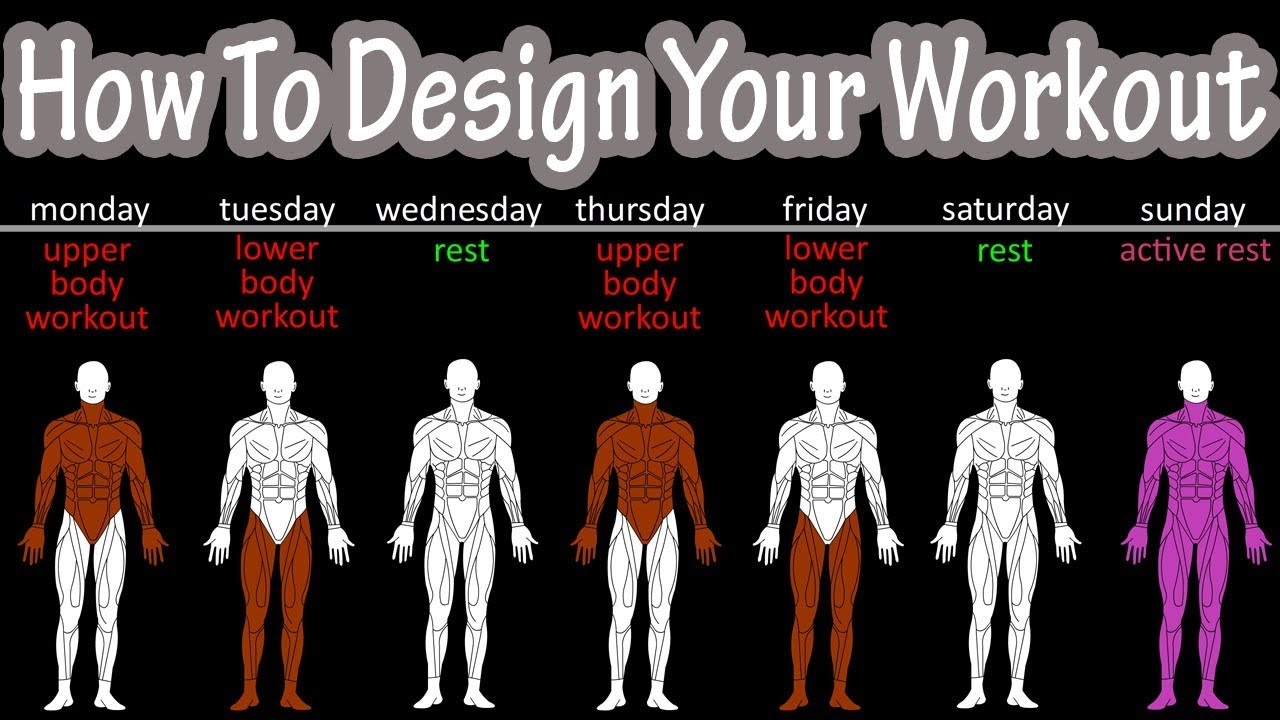 How To Create A Workout Plan For Beginners How To Create Your Own 