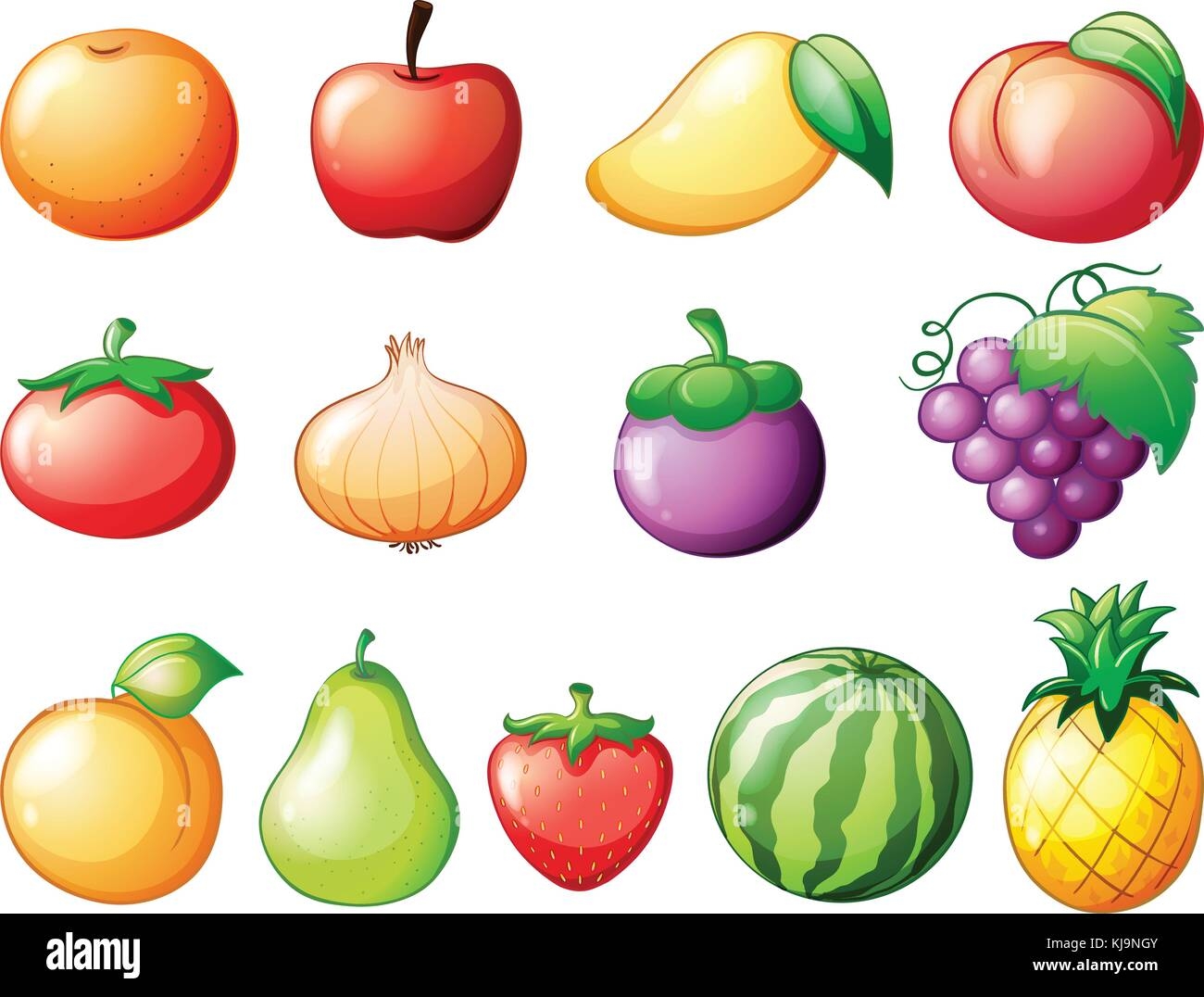 kinds of fruits with pictures