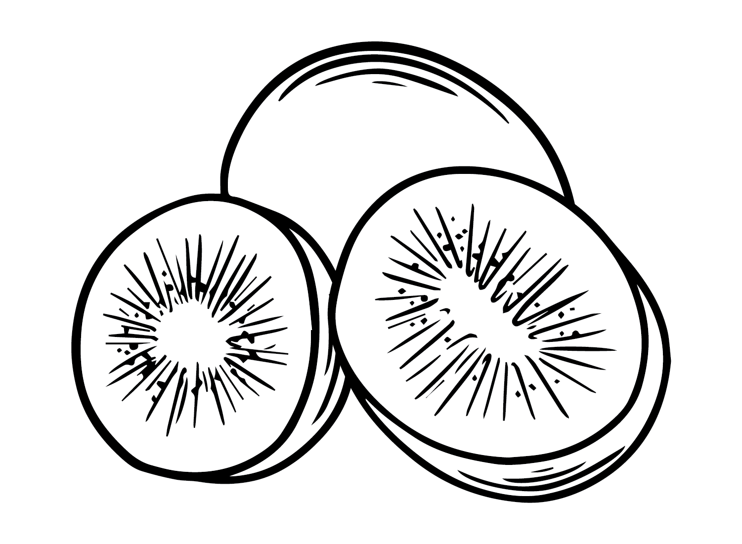Images Kiwi Fruit Coloring Page Free Printable Coloring Pages