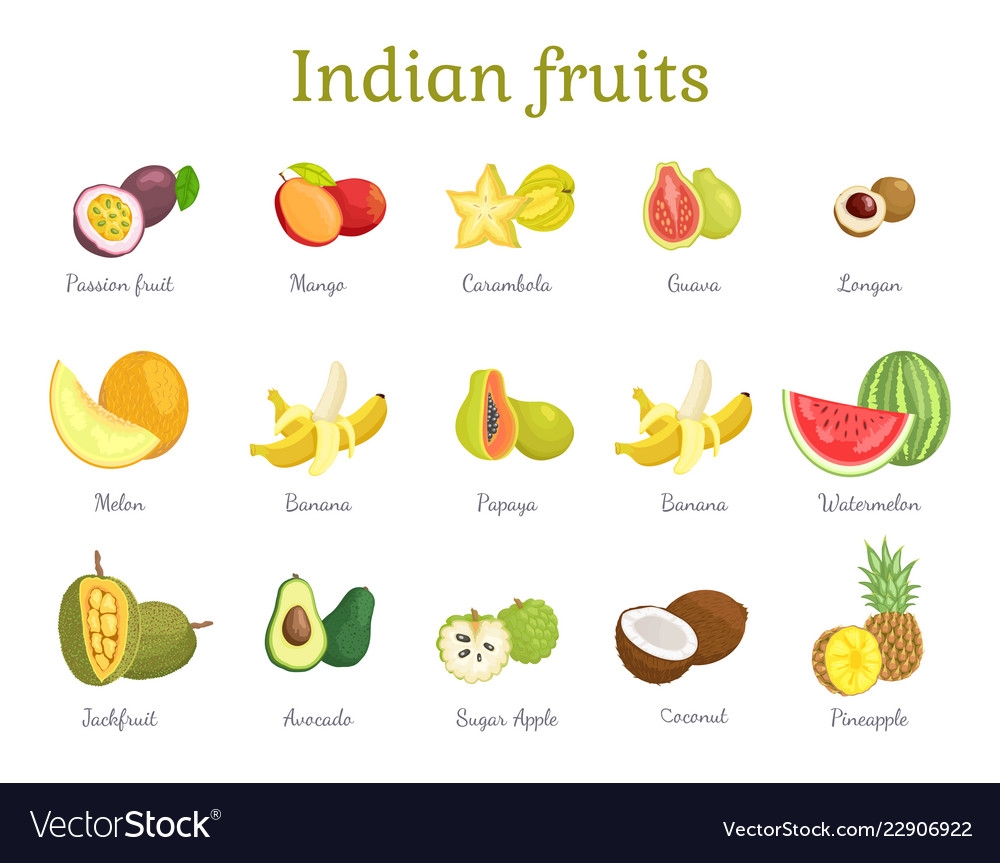 Indian Fruits Set India Food Royalty Free Vector Image