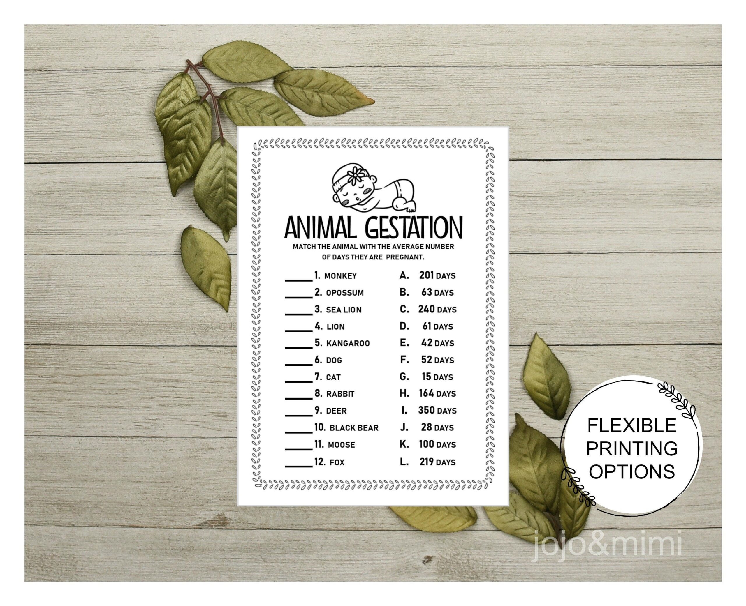 Instant ANIMAL GESTATION Printable Baby Shower Game Gestation Etsy 