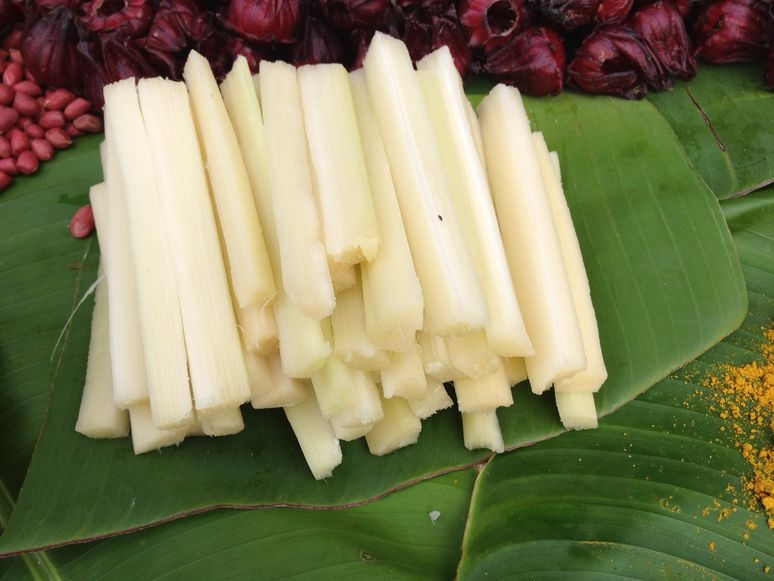 Introduction To Jamaican Fruits Vegetables And Spices