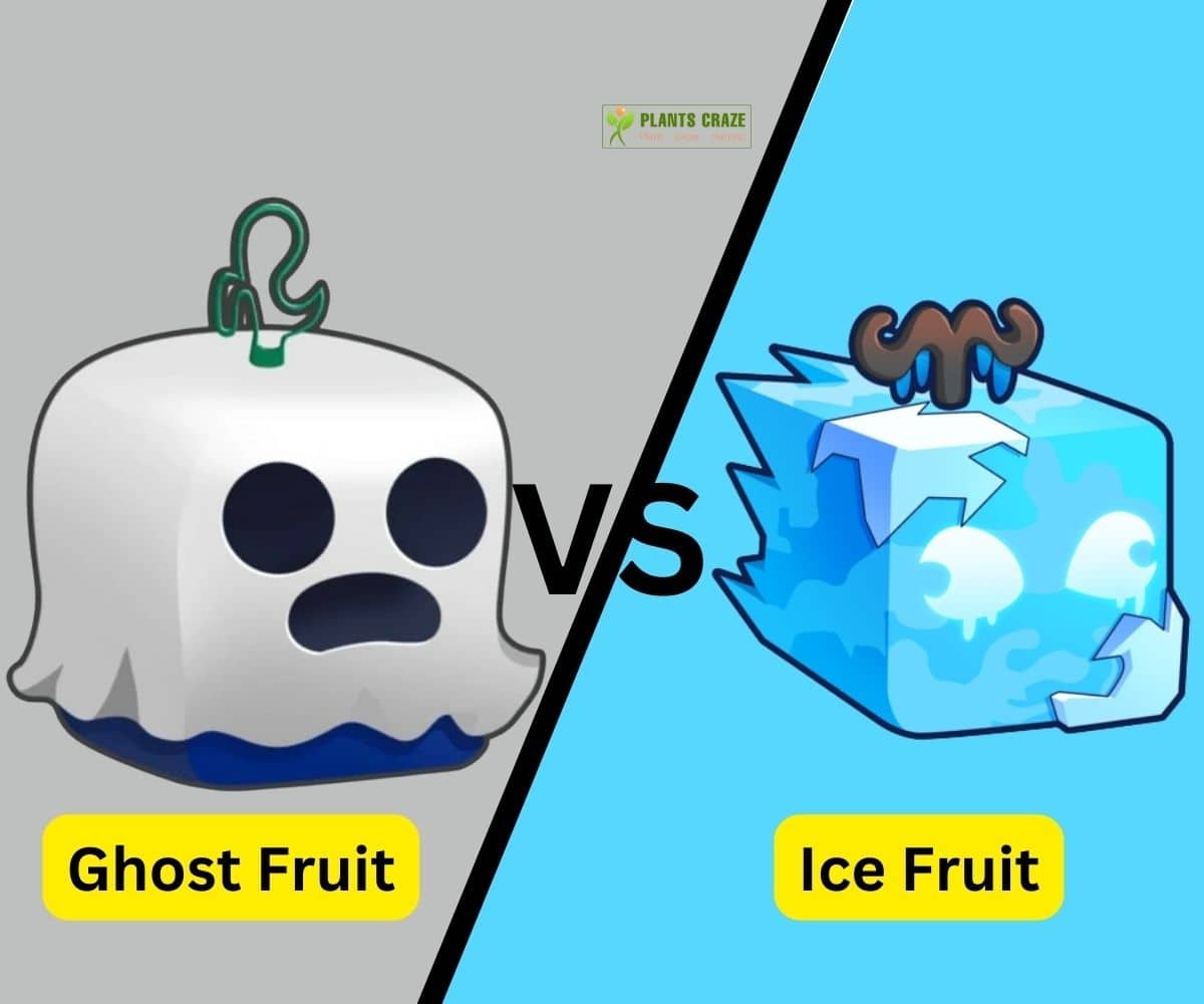 ghost fruit picture