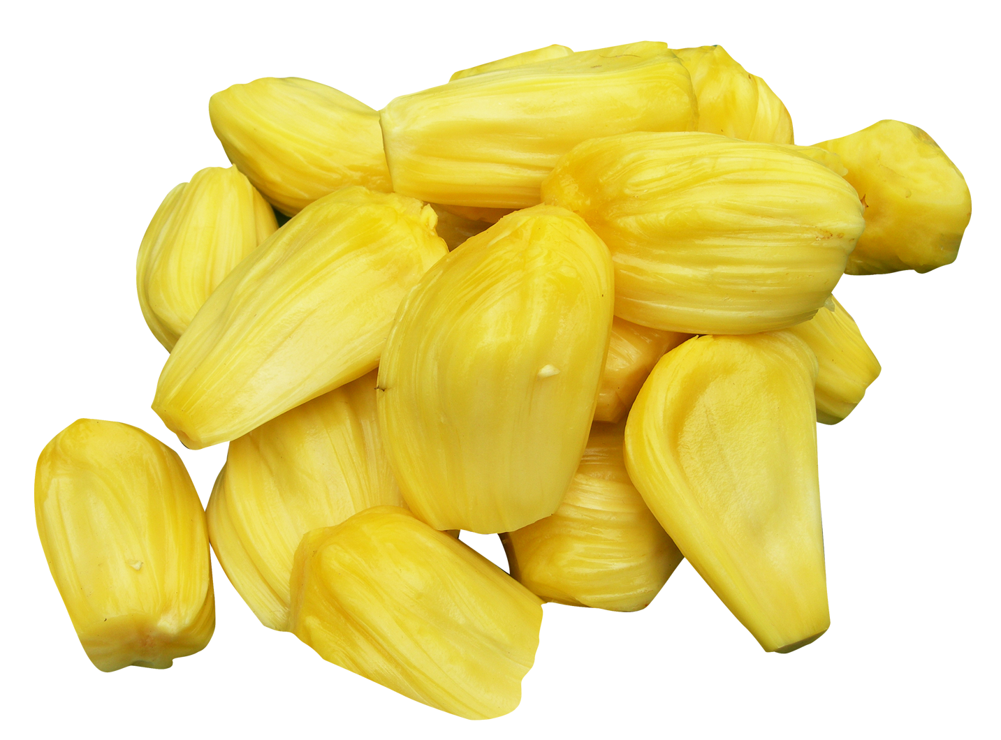 Jackfruit PNG Images Transparent Free Download