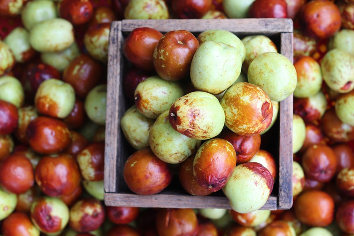 JuJube Fruit How To Eat and Enjoy Them GrubMarket Blog