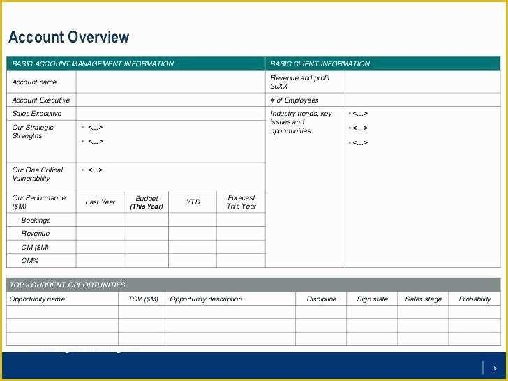 Key Account Plan Template Free Download Of Key Account Plan Template 