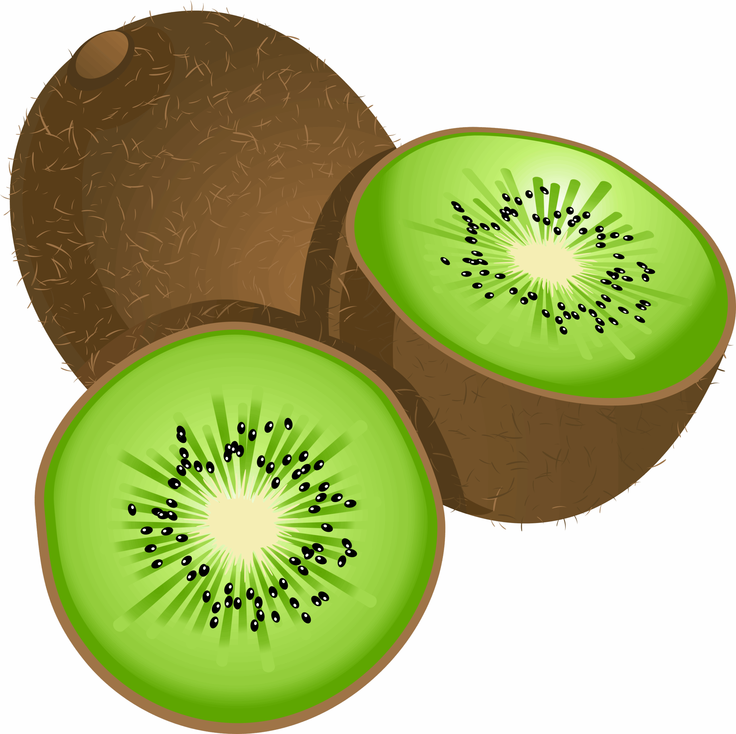 Kiwi Clipart Kiwi Fruit Kiwi Kiwi Fruit Transparent FREE For Download