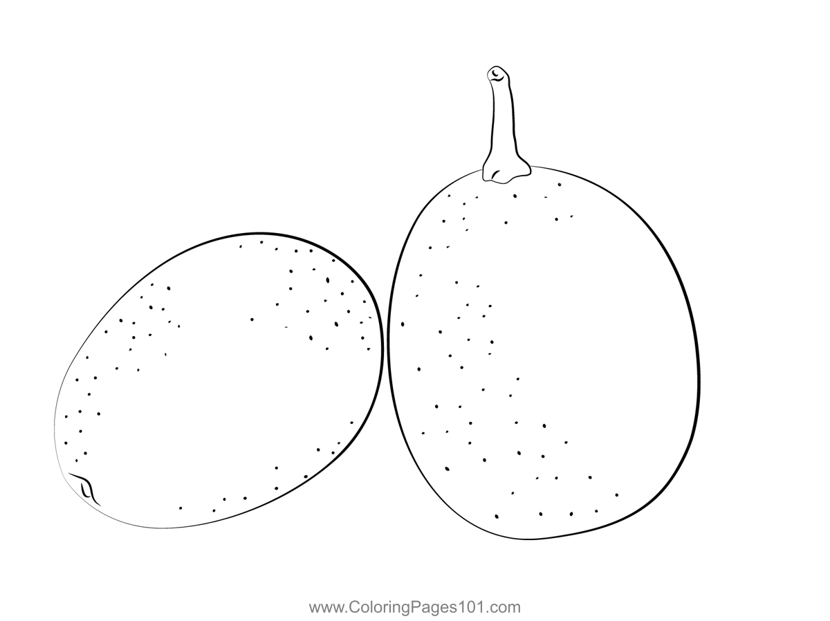 kumquat fruit picture