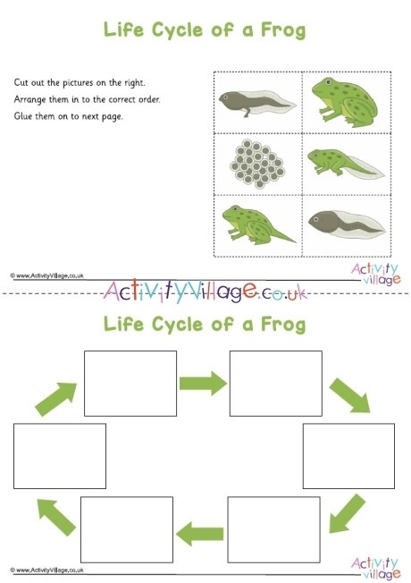 Life Cycle Of A Frog Printable Worksheets Worksheets Master
