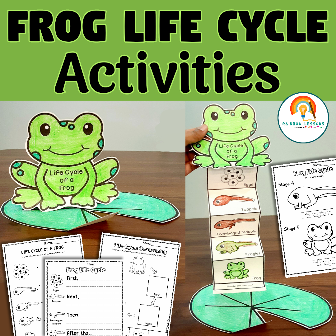 Life Cycle Of Frog Activities Frog Life Cycle Craft Kindergarten 