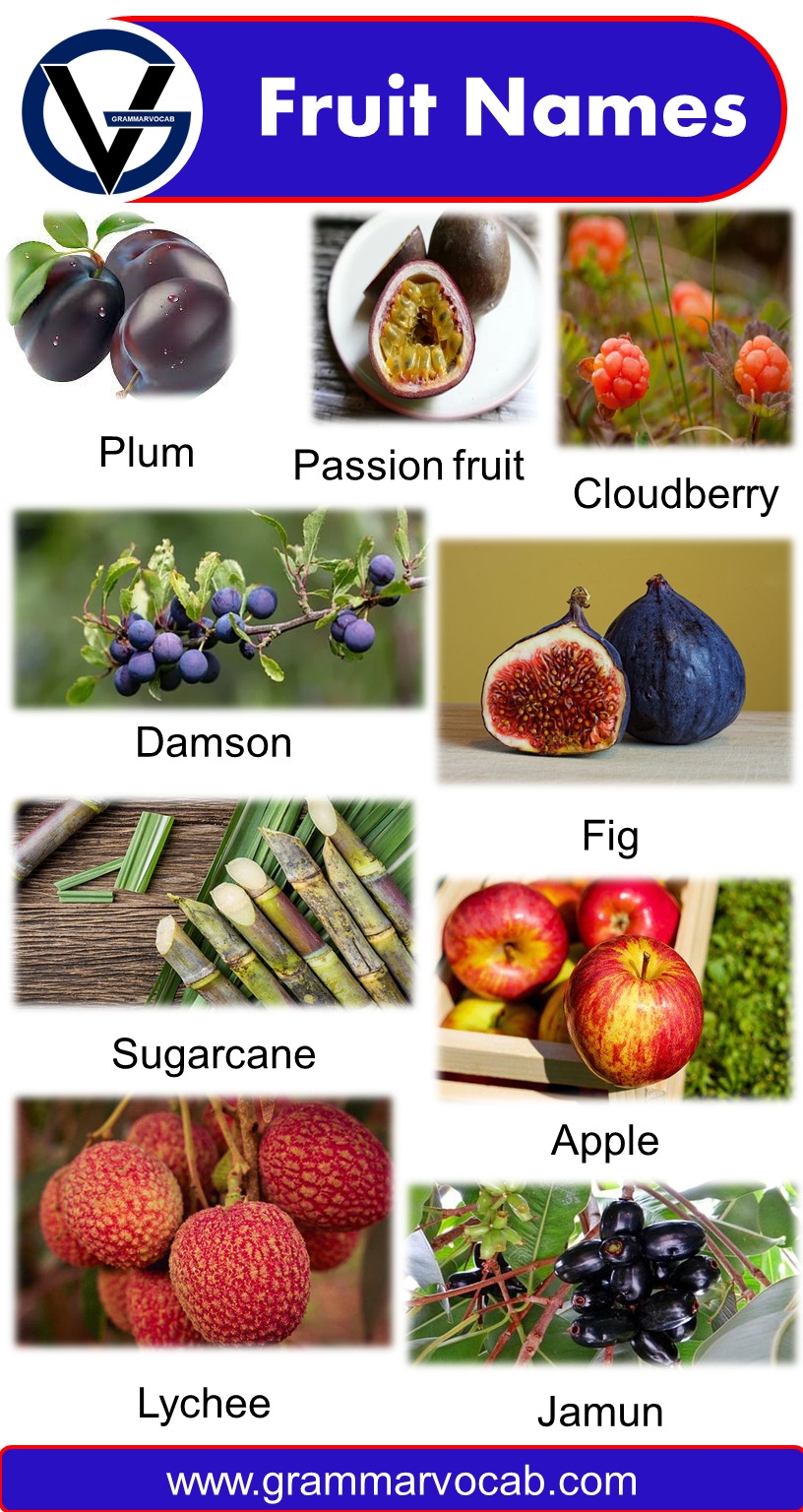 asian fruit names pictures