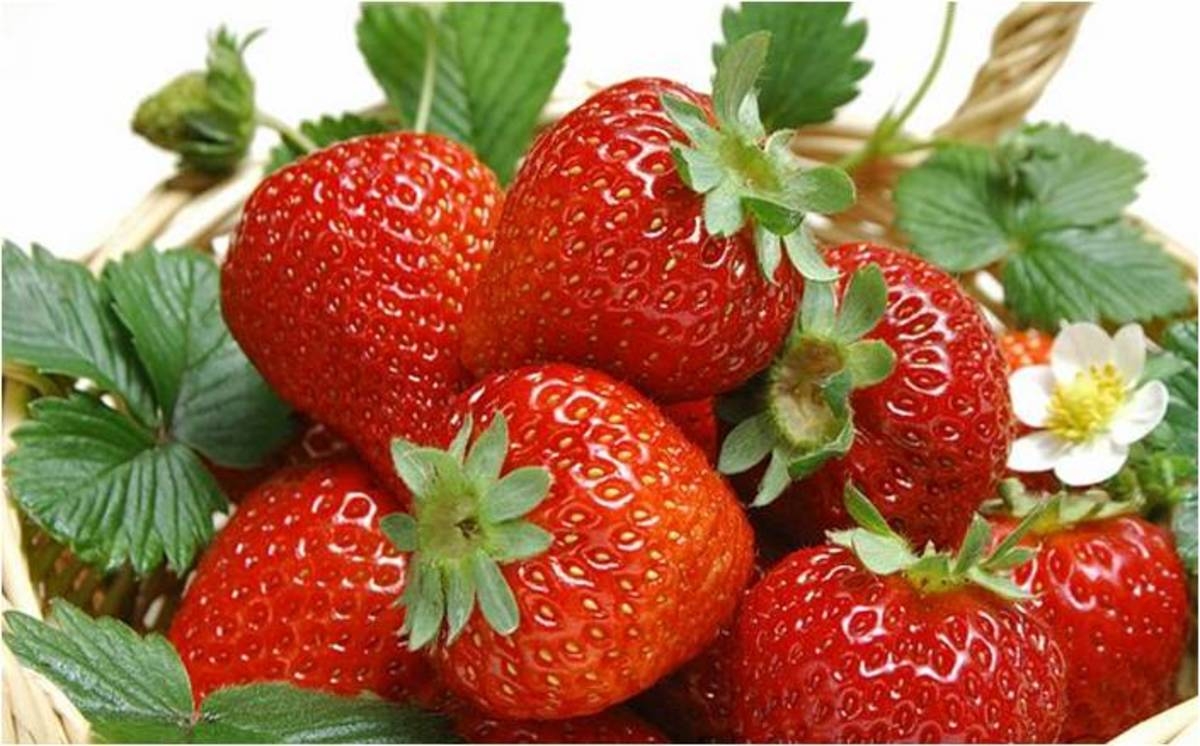 List Of Different Kinds Of Fruits Delishably