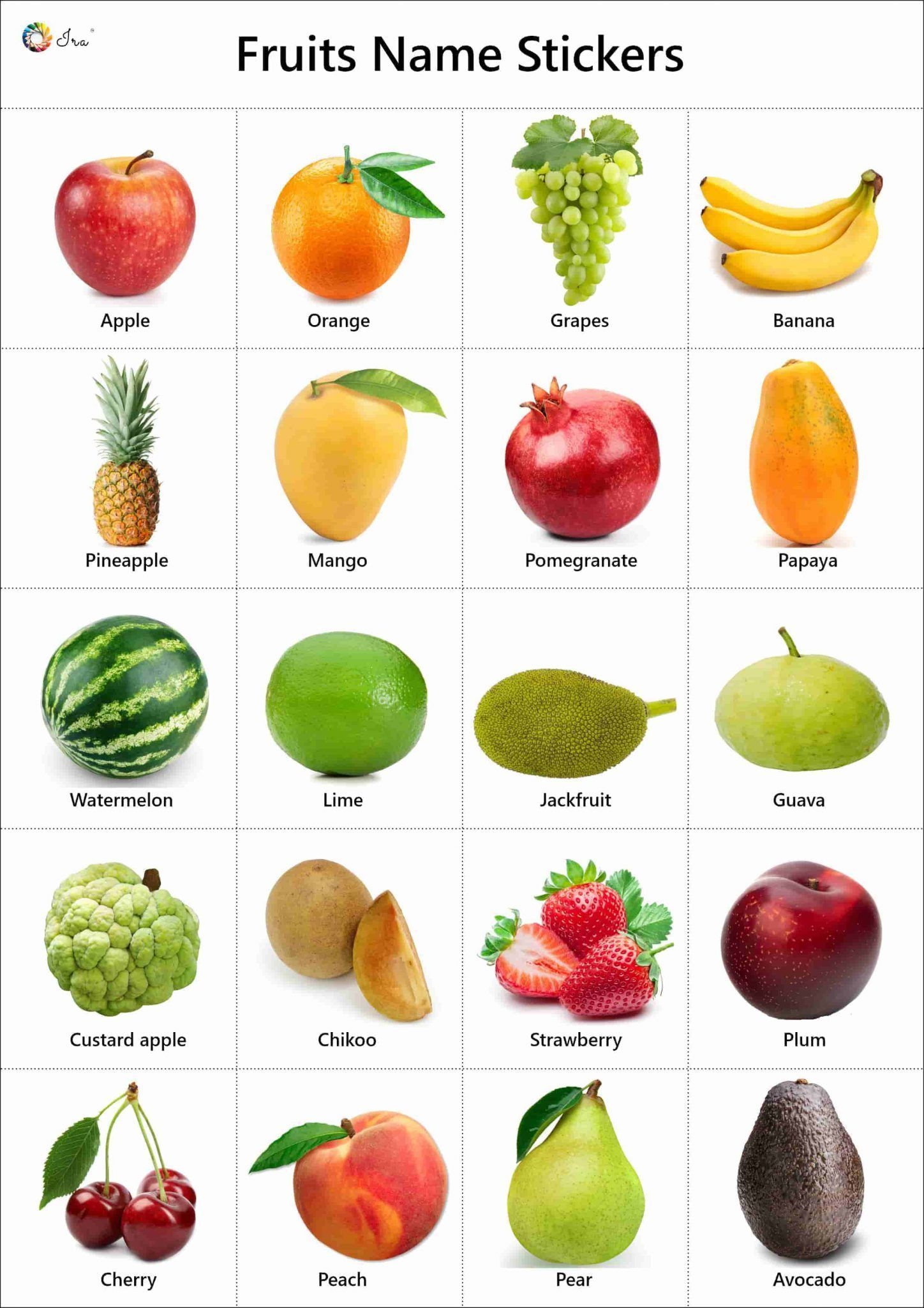 List Of Fruits List Of 40 Popular Fruit Names With Fruits Name In 