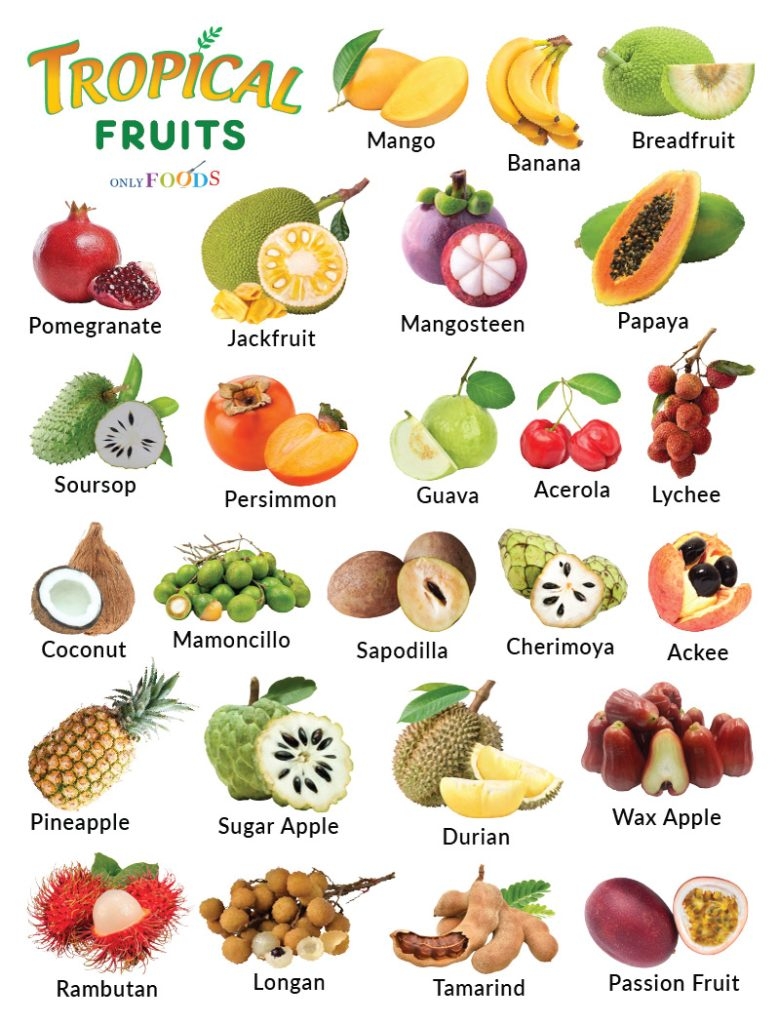 List Of Tropical Fruits With Pictures