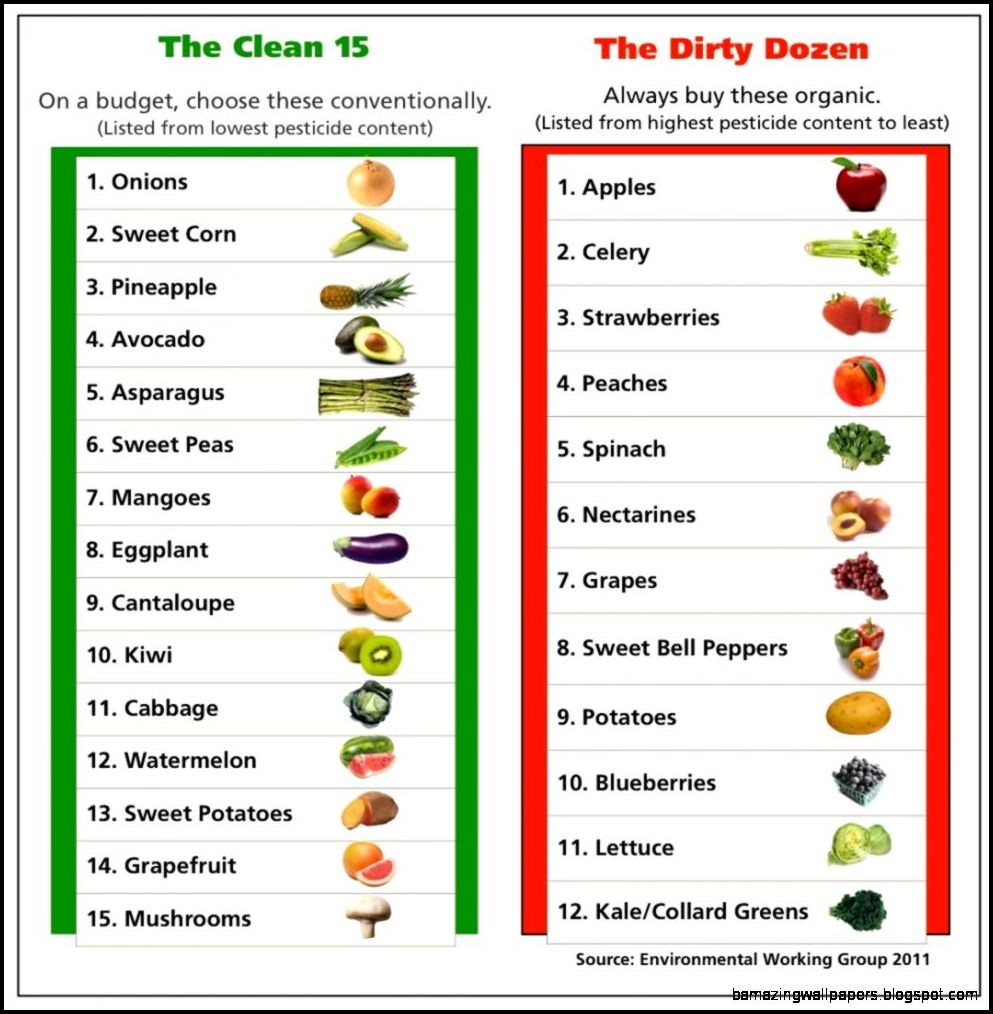 List Of Vegetables Az The Garden