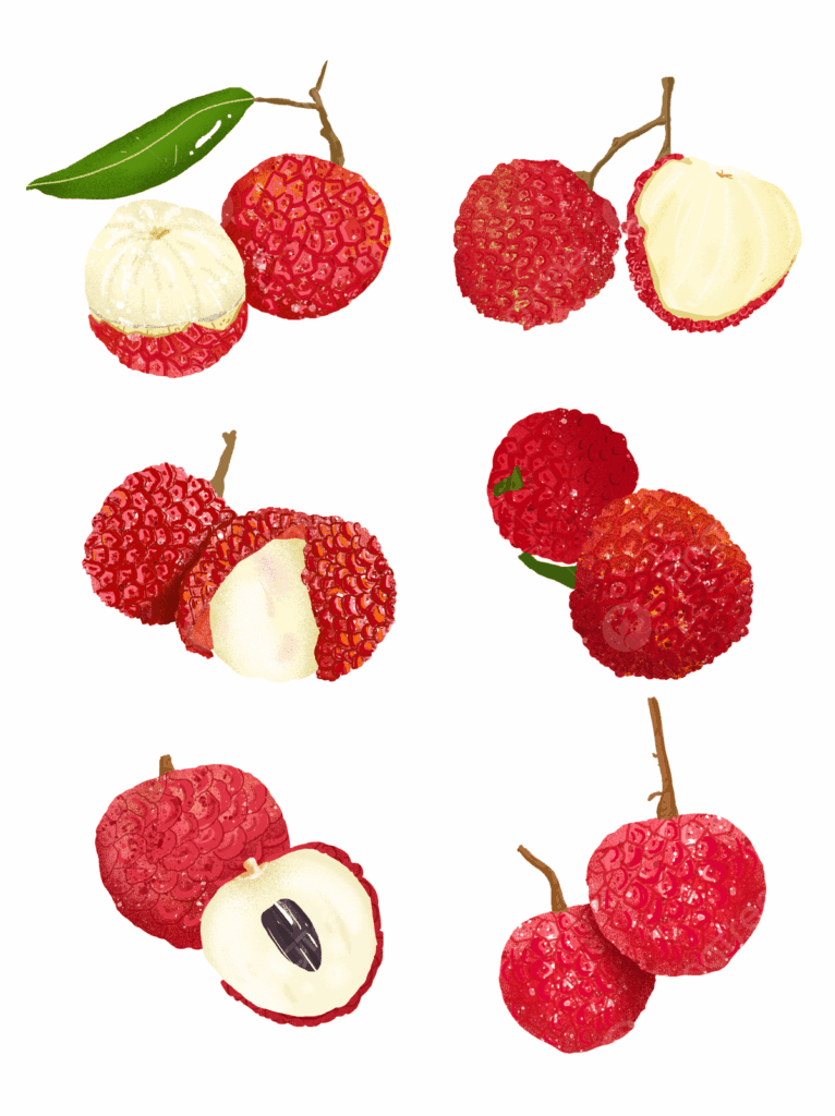 Litchi Clipart Transparent Background Litchi Fruit Cartoon Litchi