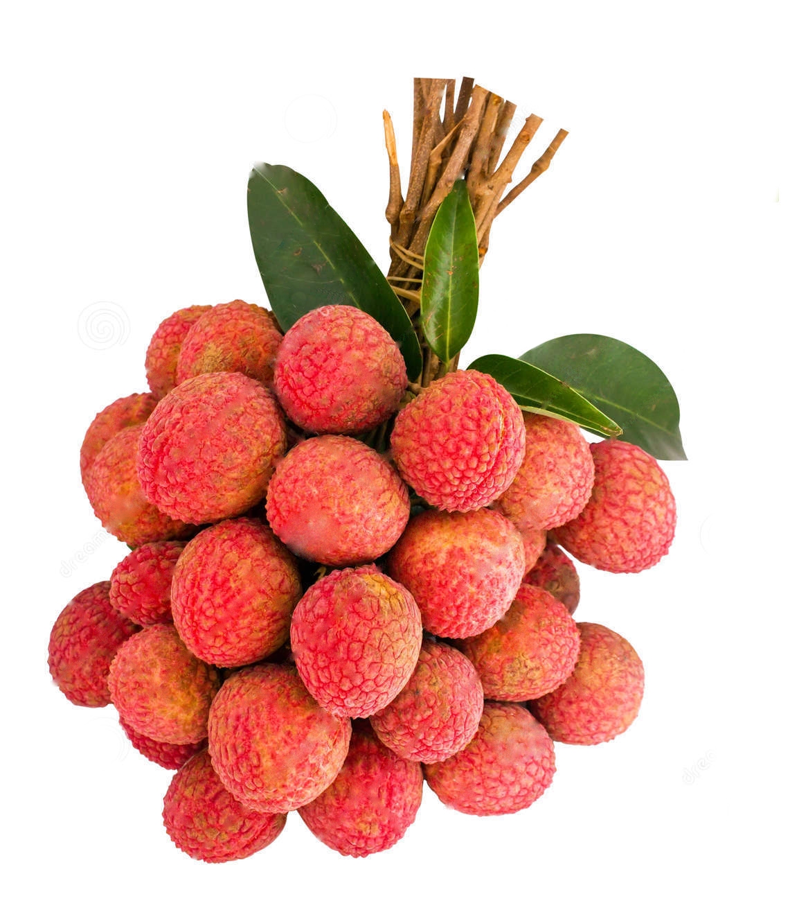 Litchi Fruit Fruits Fruits Vegetables Daily Essentials OHHO Express