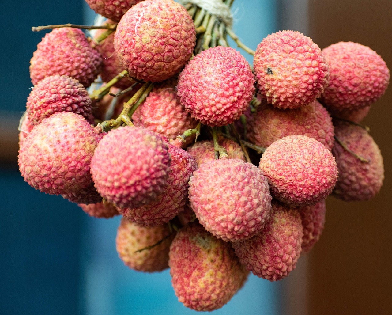 picture of litchi fruit