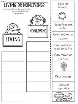 Living Or Nonliving Cut And Paste Sorting Activity By JH Lesson Design
