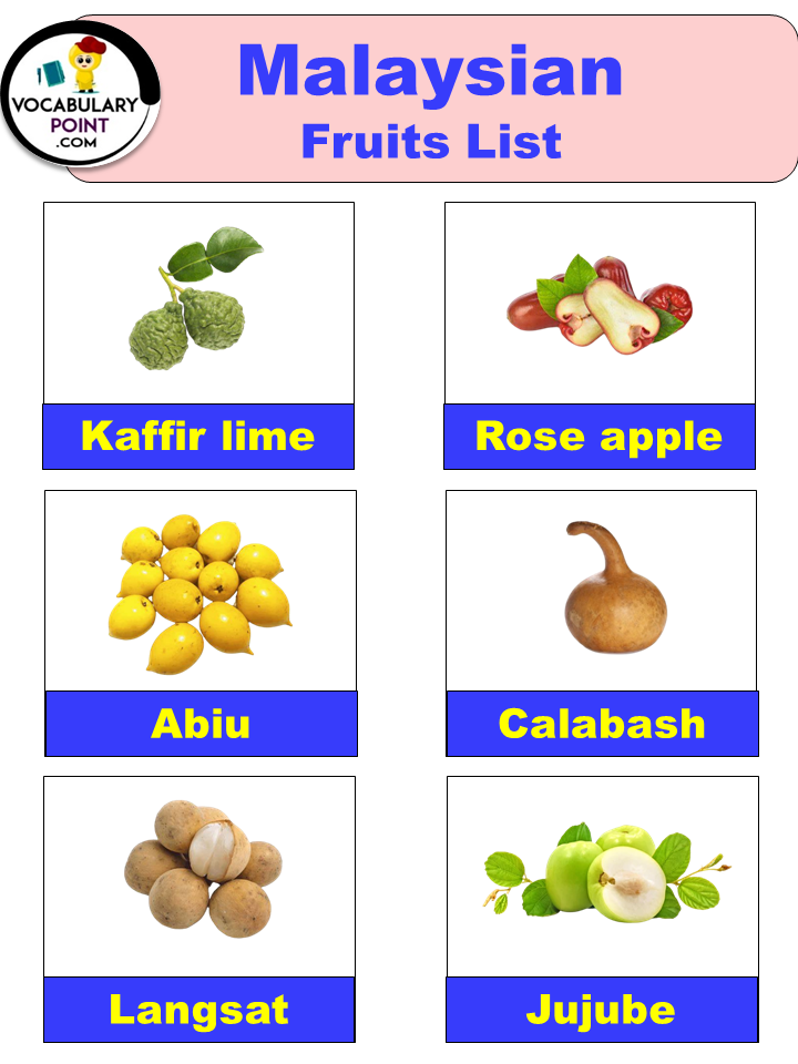 Malaysian Fruits Malaysian Fruits Names With Their Benefits 