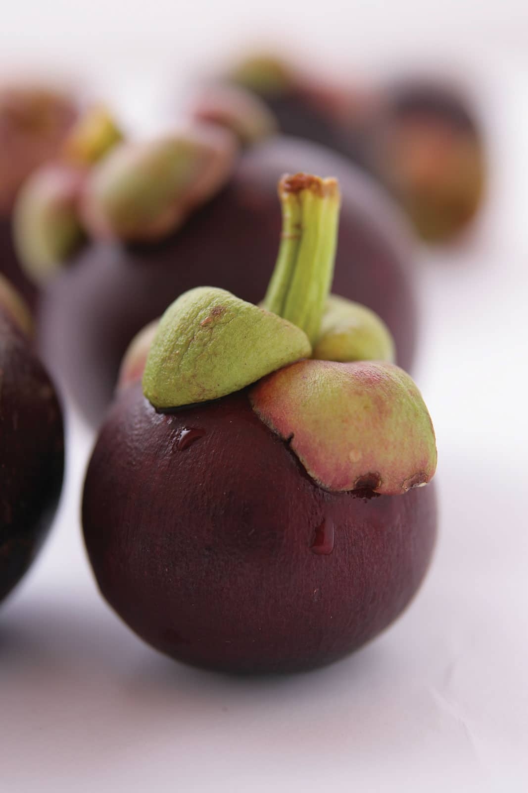 Mangosteen Fruit The Fruit For Life MANGOSTEEN