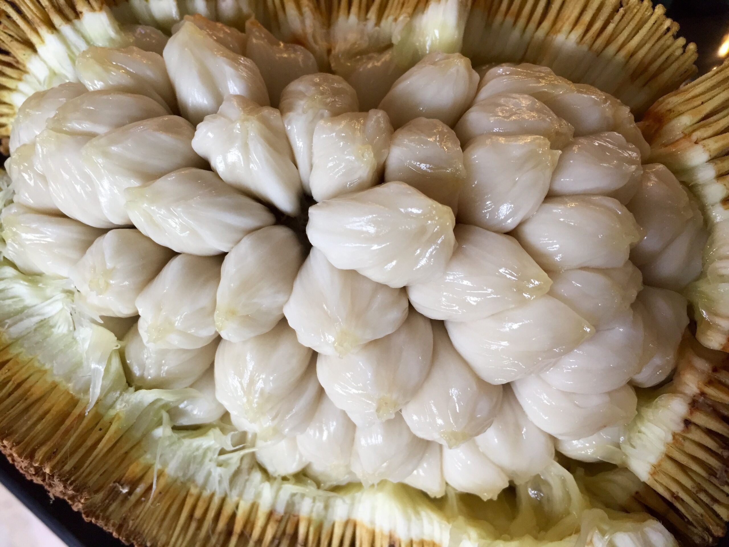 Marang Fruit Twin Fruit