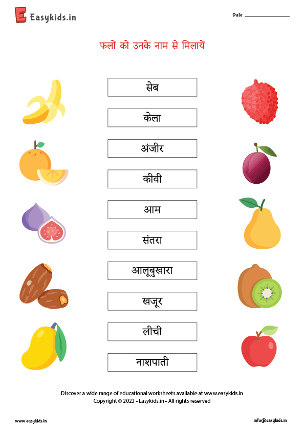 fruits name in hindi with picture