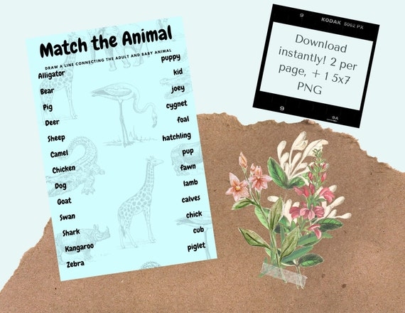 Match The Baby Animal Printable Game Etsy