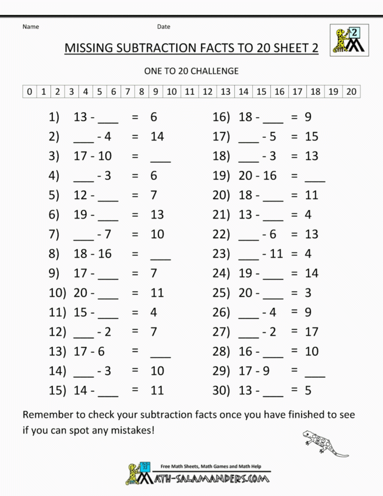 Maths Salamander Division Worksheets