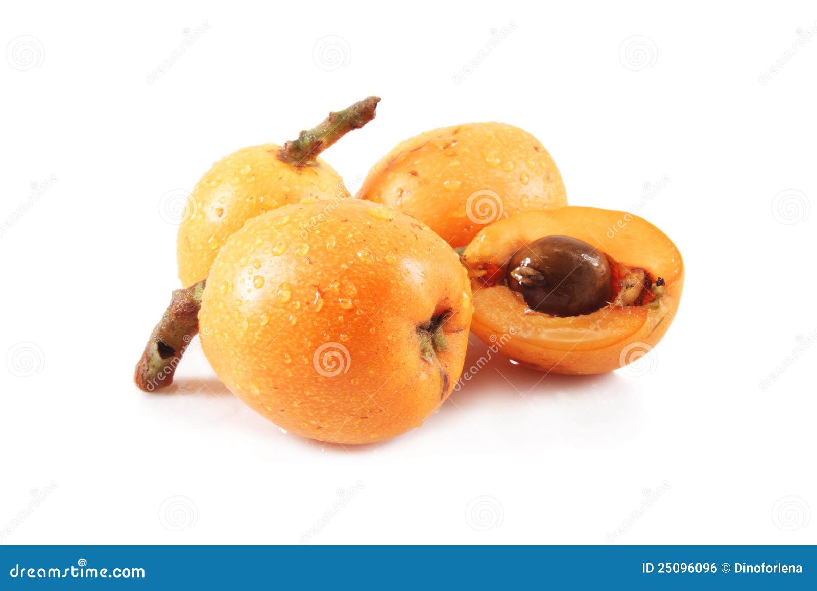 Medlar Fruit Royalty Free Stock Image CartoonDealer 25096096