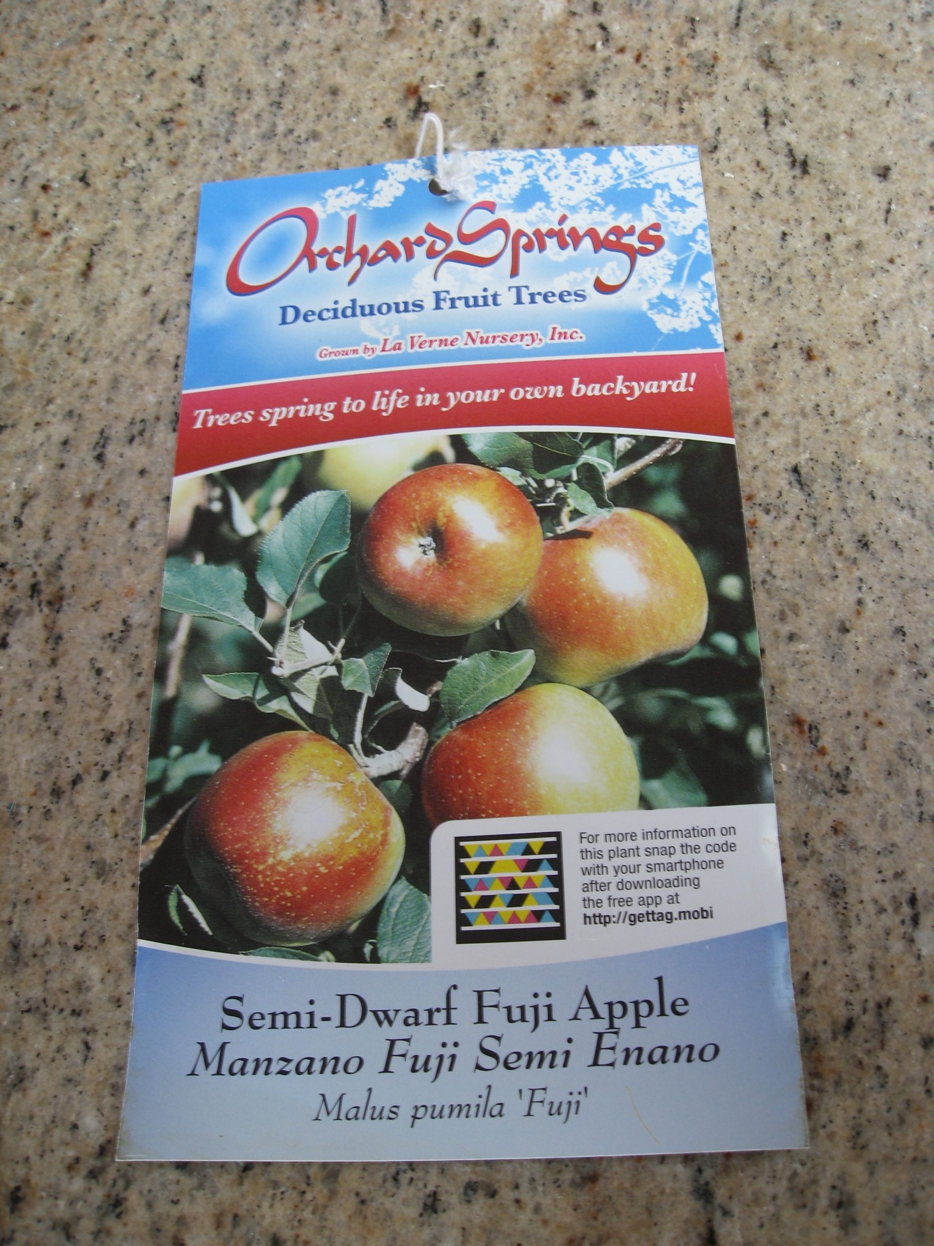 Million Trees LA Free Fruit Trees Gardenerd