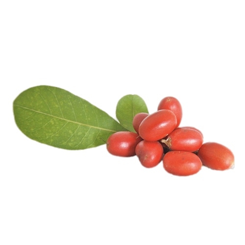 miracle fruits picture