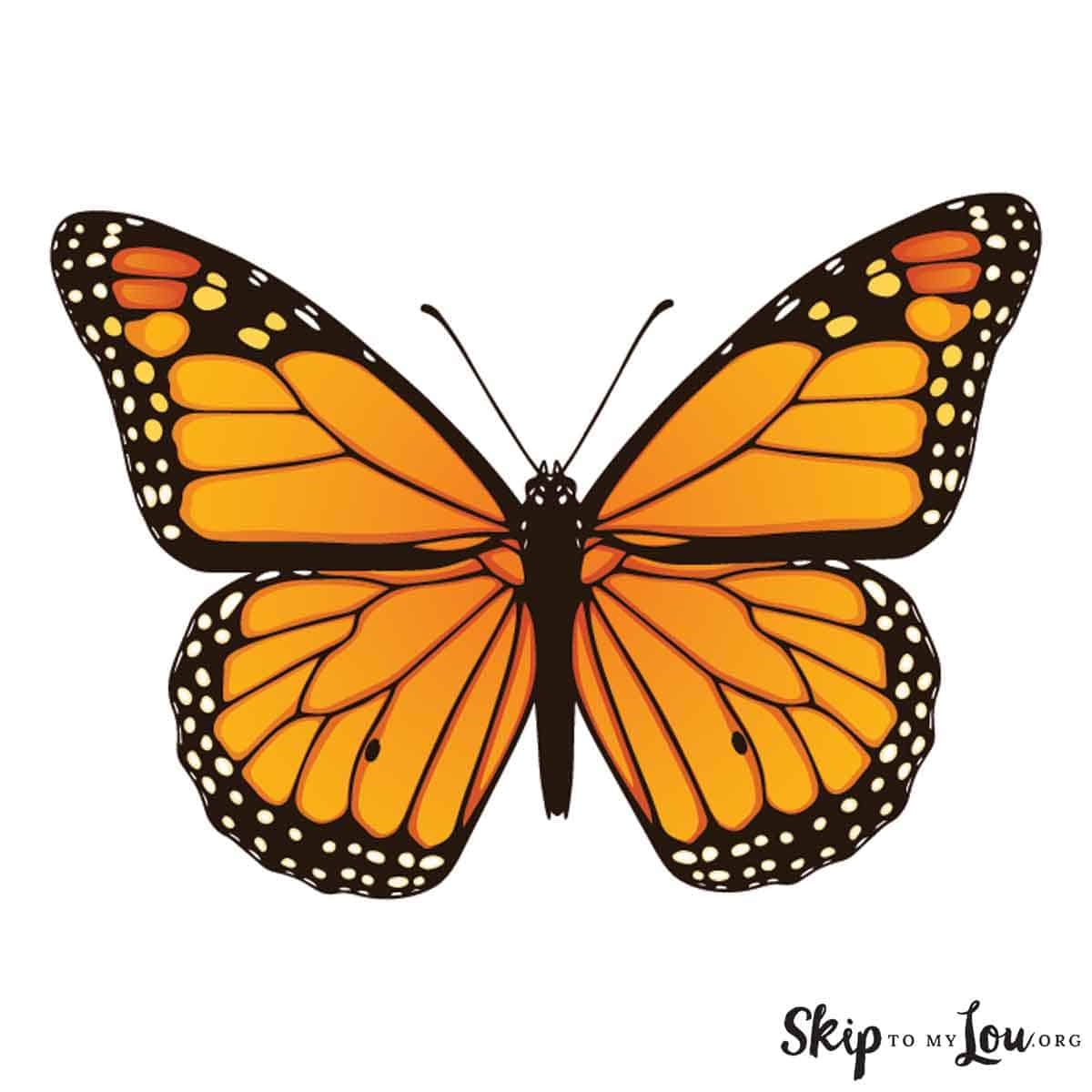 Monarch Butterfly Printable
