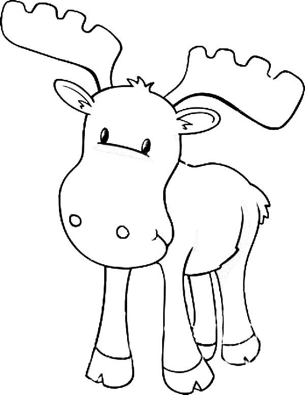 Moose Printable Coloring Pages JoaquinaxEwing