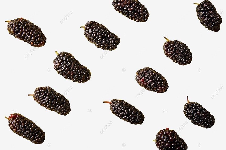 Mulberry Fruit Mulberry Food Fruit PNG Transparent Image And Clipart 