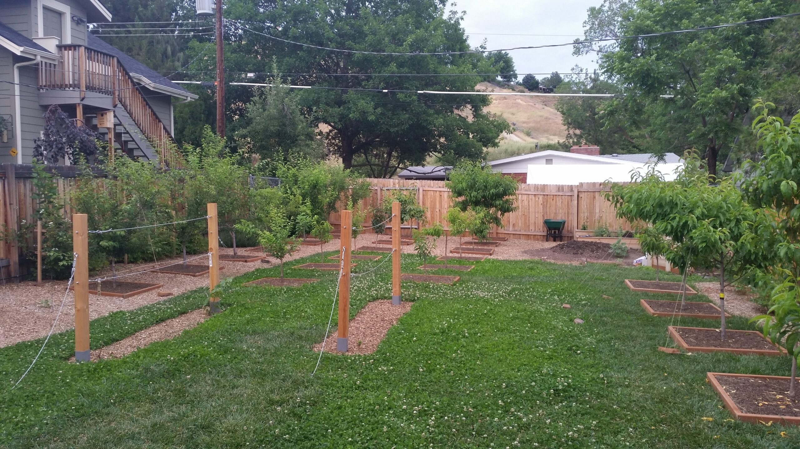 My Backyard Orchard General Fruit Growing Growing Fruit