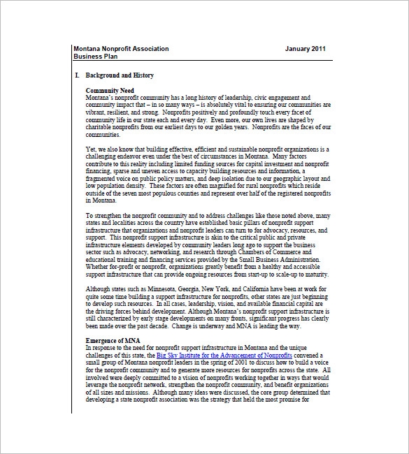 Non Profit Business Plan Template 8 Word Excel PDF Format Download