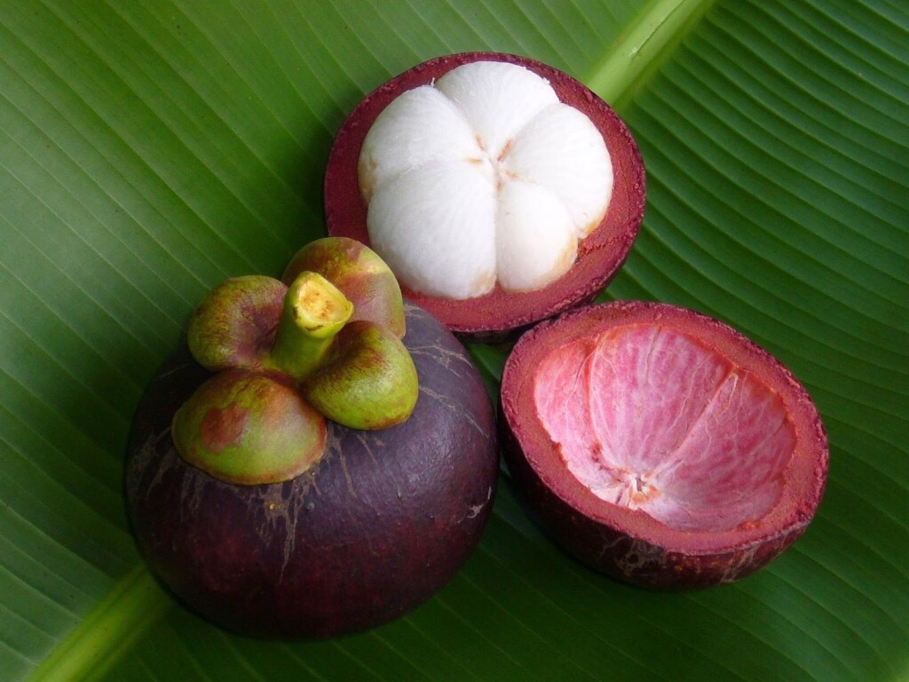 Odd Fruits Flashcards Memorang
